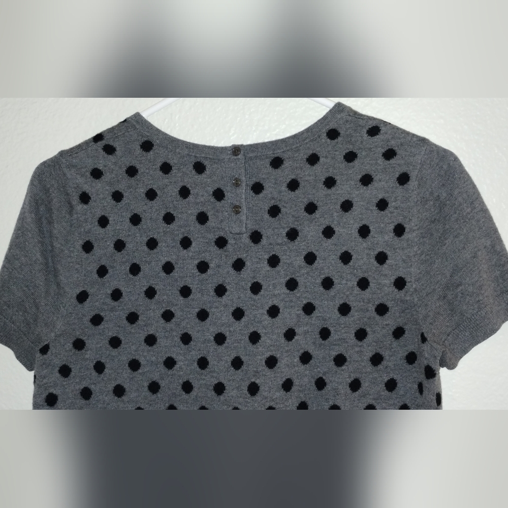 Gray Polka Dot Short Sleeve Sweater from Anne Taylor LOFT ~ Size Small ~SO Cute! - Picture 9 of 12